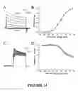 Fig. 16 - Isolated nucleic acids for mutant mammalian Nav 1 proteins