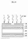 Fig. 11 - Hybrid bio actuator and method of manufacturing the same using 3-dimensional micro molding aligner