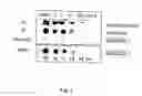 Fig. 04 - Predicting cancer progression