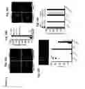 Fig. 15 - Isolation of the mitotic spindle matrix and its methods of use