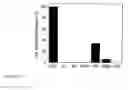 Fig. 08 - Fluorogenic probes for reactive oxygen species