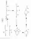 Fig. 13 - Sets and compositions pertaining to analyte determination