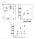 Fig. 03 - Cell extract for high-functioned cell-free protein synthesis and method of preparing the extract