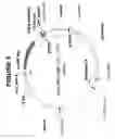 Fig. 06 - Leader sequences for use in production of proteins
