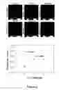 Fig. 05 - Tool for quantitative real-time analysis of viral gene expression dynamics in single living cells