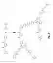 Fig. 04 - Selective electrode for benzene and benzenoid compounds