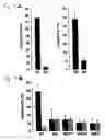 Fig. 08 - Cell fusions and methods of making and using the same