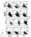 Fig. 10 - Cell fusions and methods of making and using the same