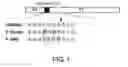 Fig. 02 - Method for producing viral vectors