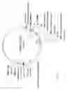Fig. 03 - Adenovirus packaging cell lines