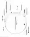Fig. 04 - Adenovirus packaging cell lines