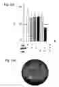 Fig. 17 - Sponge toxins