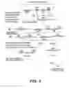Fig. 04 - CIRCULAR DNA MOLECULE HAVING A CONDITIONAL ORIGIN OF REPLICATION, PROCESS FOR THEIR PREPARATION AND THEIR USE IN GENE THERAPY