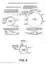 Fig. 09 - CIRCULAR DNA MOLECULE HAVING A CONDITIONAL ORIGIN OF REPLICATION, PROCESS FOR THEIR PREPARATION AND THEIR USE IN GENE THERAPY