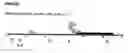 Fig. 28 - Pem-3-like compositions and related methods thereof