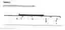 Fig. 33 - Pem-3-like compositions and related methods thereof
