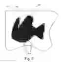 Fig. 07 - Reduction of scan time in imaging mass spectrometry