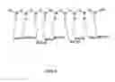 Fig. 09 - Immunohistochemistry staining controls