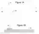 Fig. 02 - Three dimensional microstructures and methods for making three dimensional microstructures
