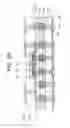 Fig. 09 - Method of manufacturing mounting substrate