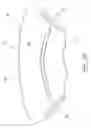 Fig. 07 - INTERLINING MATERIAL, PROCESS OF MANUFACTURING AND USE THEREOF