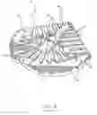 Fig. 09 - Sanding device, and sanding assembly including the same