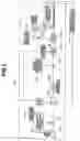 Fig. 06 - Control apparatus for continuously-variable transmission of vehicle