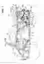 Fig. 02 - Power transmission structure