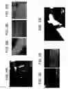 Fig. 07 - Nanoscale ceramic composites and methods of making