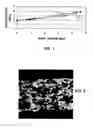 Fig. 02 - High porosity cordierite ceramic honeycomb article and method