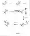 Fig. 02 - Supported olefin polymerisation catalyist
