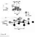 Fig. 05 - Supported olefin polymerisation catalyist