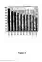 Fig. 04 - Method and agents for improving plant productivity involving endophytic actinomycetes and metabolites thereof