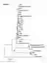 Fig. 08 - Method and agents for improving plant productivity involving endophytic actinomycetes and metabolites thereof