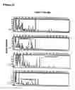 Fig. 31 - Method and agents for improving plant productivity involving endophytic actinomycetes and metabolites thereof