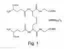 Fig. 02 - Methods for production of the oxidized glutathione composite with CIS-diamminedichloroplatinum and pharmaceutical compositions based thereof regulating metabolism, proliferation, differentiation and apoptotic mechanisms for normal and transformed cells