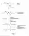 Fig. 03 - Methods for production of the oxidized glutathione composite with CIS-diamminedichloroplatinum and pharmaceutical compositions based thereof regulating metabolism, proliferation, differentiation and apoptotic mechanisms for normal and transformed cells