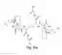 Fig. 14 - Methods for production of the oxidized glutathione composite with CIS-diamminedichloroplatinum and pharmaceutical compositions based thereof regulating metabolism, proliferation, differentiation and apoptotic mechanisms for normal and transformed cells