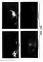 Fig. 12 - VASCULAR ENDOTHELIAL CELL GROWTH FACTOR VARIANTS AND USES THEREOF
