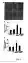 Fig. 09 - Isolated MCPIP and methods of use