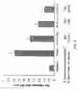 Fig. 05 - Composition of lactoferrin related peptides and uses thereof