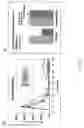 Fig. 07 - Composition of lactoferrin related peptides and uses thereof