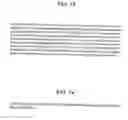 Fig. 23 - Identification and cloning of a novel human gene, RET16, involved in the intracellular signaling cascade