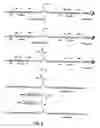 Fig. 04 - Thrombopoietic compounds