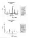 Fig. 16 - D-amino acid peptides
