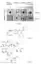 Fig. 02 - Angiogenesis-affecting compounds and methods for use thereof