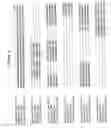 Fig. 07 - Antigen delivery system