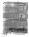 Fig. 03 - Decoy-containing pharmaceutical compositions and method of using the same