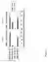 Fig. 04 - Immunostimulatory oligoribonucleotides