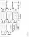 Fig. 13 - Immunostimulatory oligoribonucleotides